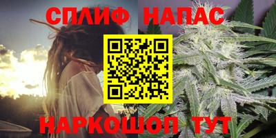 стаф Боровичи